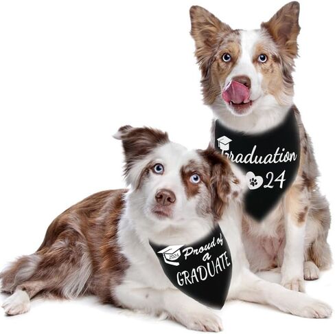 قطعتان من باندانا التخرج للكلاب فخورة بتخرج 2024 منديل قابل للتعديل للكلاب للاحتفال بالتهاني باللون الأسود in Kuwait