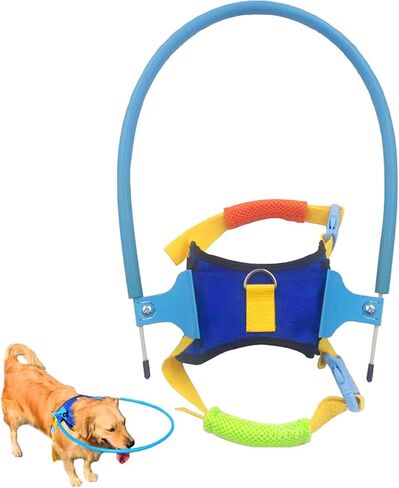 Nicoone Blind Dog Harness Guiding Device,Dog Halo for Blind Dogs, Devices for Blind Dogs, Blind Dog Accessories Help for Blind Dogs to Avoid Collision&Build Confidence,XS in Kuwait