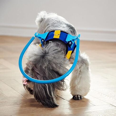 Nicoone Blind Dog Harness Guiding Device,Dog Halo for Blind Dogs, Devices for Blind Dogs, Blind Dog Accessories Help for Blind Dogs to Avoid Collision&Build Confidence,XS in Kuwait