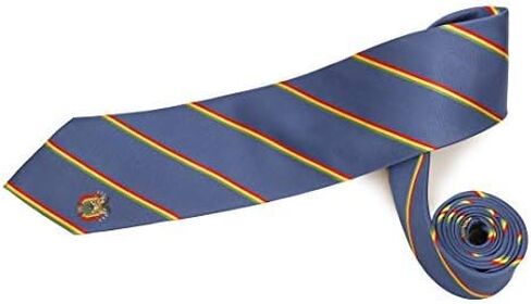 Bolivia Tie 100% Woven Silk in Saudi Arabia