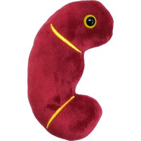Giantmicrobes Kidney Plush, Kidney Stuffed Animal, Kidney Transplant Gifts, Kidney Donor Gifts, Kidney Pillow, Urology Gifts, Nephrology Gifts, Dialysis Nurse Gifts, Gifts For Urologist, Kidney Toy
