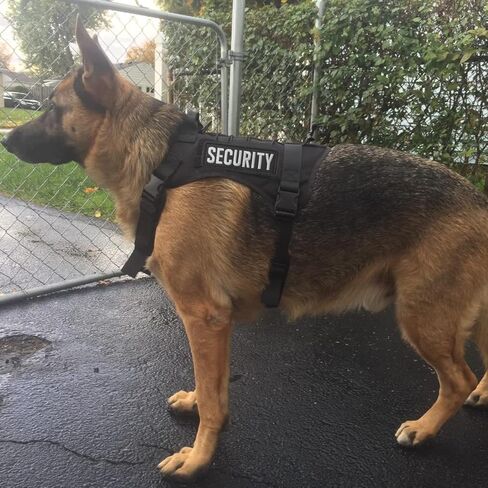 Agent Embroidered Patches Hook and Loop, Durable Fabric Agent Patch for Officer Guard Uniforms Vest, Jacket, Carrier, Hat, One Small and One Large Black in Kuwait