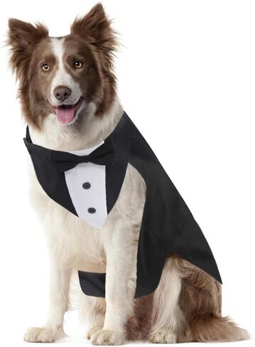 مجموعة بدلات توكسيدو وباندانا للكلاب، بدلة حفلات زفاف للكلاب، ملابس حيوانات أليفة قابلة للتعديل مع طوق ربطات عنق قابلة للفصل لزي حفلات أعياد الميلاد - مقاس XL in Kuwait