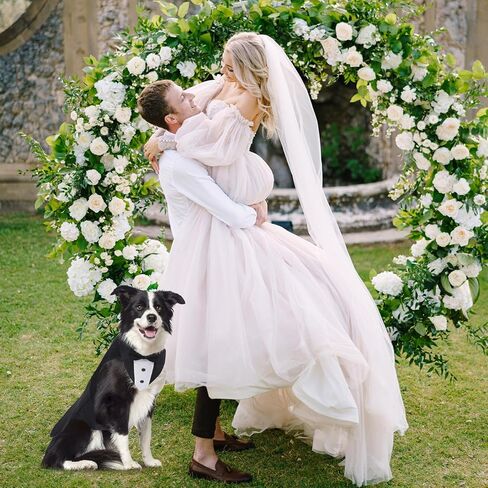 مجموعة بدلات توكسيدو وباندانا للكلاب، بدلة حفلات زفاف للكلاب، ملابس حيوانات أليفة قابلة للتعديل مع طوق ربطات عنق قابلة للفصل لزي حفلات أعياد الميلاد - مقاس XL in Kuwait