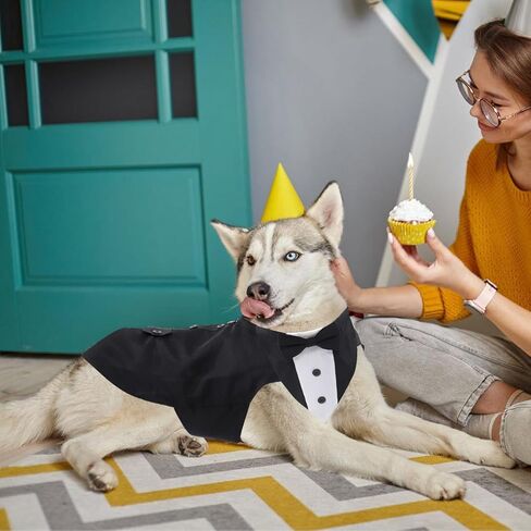 مجموعة بدلات توكسيدو وباندانا للكلاب، بدلة حفلات زفاف للكلاب، ملابس حيوانات أليفة قابلة للتعديل مع طوق ربطات عنق قابلة للفصل لزي حفلات أعياد الميلاد - مقاس XL in Kuwait