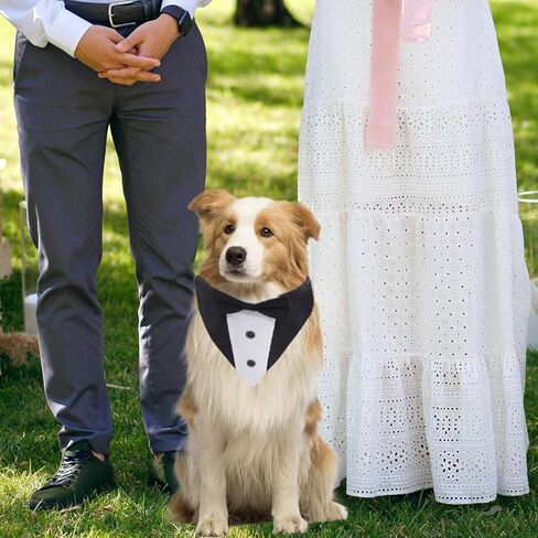 مجموعة بدلات توكسيدو وباندانا للكلاب، بدلة حفلات زفاف للكلاب، ملابس حيوانات أليفة قابلة للتعديل مع طوق ربطات عنق قابلة للفصل لزي حفلات أعياد الميلاد - مقاس XL in Kuwait