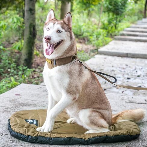OneTigris Outdoor Dog Bed for Medium Large Dog, Waterproof Washable Portable Camping Travel Mat in Saudi Arabia