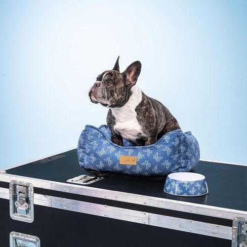 Doggy Parton Denim Buttefly Print Cat Bowl - S, Blue in Saudi Arabia