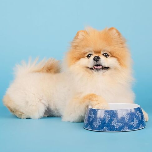 Doggy Parton Denim Buttefly Print Cat Bowl - S, Blue in Saudi Arabia