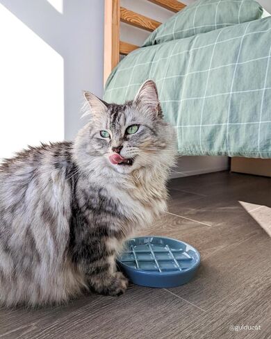 Ceramic Slow Feeder Cat Bowl - Whisker-Friendly, Anti-Vomiting Puzzle Feeder for Cats and Small Dogs, Non-Flip, Interactive Slow Feed Bowl for Weight Management, Dishwasher/Microwave Safe (Blue) in Saudi Arabia
