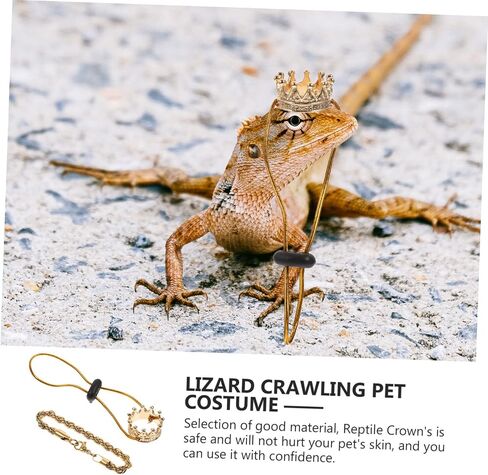 Reptile Crowns 1 Set Climbing Pet Transformation Costume Squirrel Decor Lizard Accessories Hamster Accessories Bearded Dragon Accessories Pet Snake Hat Lizard Crowns Amphibious in Saudi Arabia