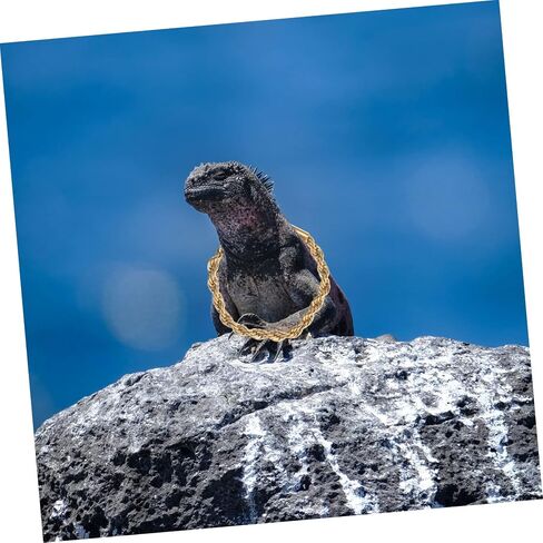 Reptile Crowns 1 Set Climbing Pet Transformation Costume Squirrel Decor Lizard Accessories Hamster Accessories Bearded Dragon Accessories Pet Snake Hat Lizard Crowns Amphibious in Saudi Arabia