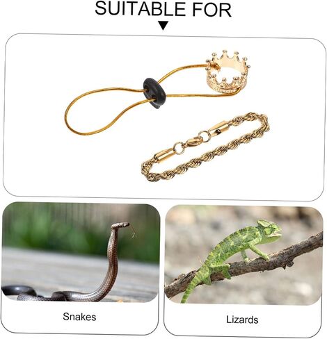 Reptile Crowns 1 Set Climbing Pet Transformation Costume Squirrel Decor Lizard Accessories Hamster Accessories Bearded Dragon Accessories Pet Snake Hat Lizard Crowns Amphibious in Saudi Arabia
