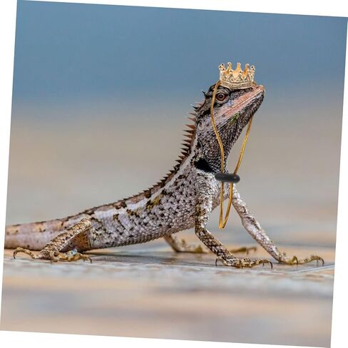 Reptile Crowns 1 Set Climbing Pet Transformation Costume Squirrel Decor Lizard Accessories Hamster Accessories Bearded Dragon Accessories Pet Snake Hat Lizard Crowns Amphibious in Saudi Arabia