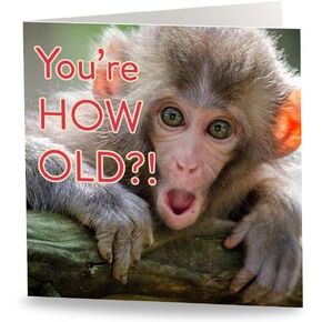 Maturi 'How Old?' Funny Humorous Birthday Greetings Card - Blank Inside, 6" x 6" Square in Saudi Arabia