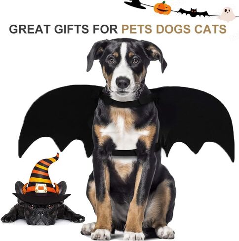 Dog Bat Wings Halloween Costume for Cat Dog Pet Halloween Bat Wing Dog Bat Costume Halloween Decoration Pet Apparel Cosplay (Medium) in Saudi Arabia