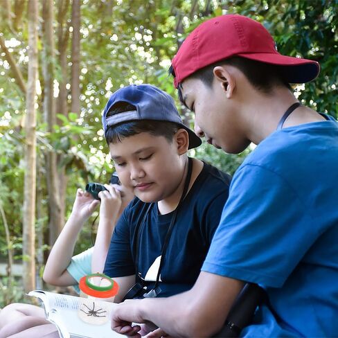 Magnifying Glasses Insect Viewer Box 3X 6X Magnifying Glasses Bug Viewer Magnifier for Science Nature Explorer in Kuwait