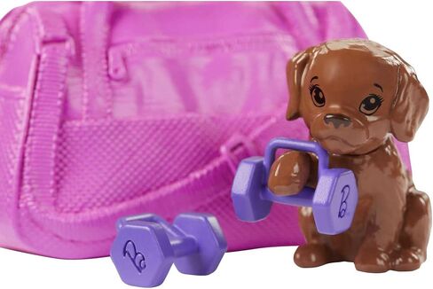 Barbie Doll, Red-Haired Fitness Doll with Puppy & 9 Accessories Including Yoga Mat with Strap, Hula Hoop, Weights & Bag in Saudi Arabia