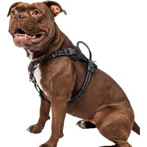 No Pull Comfort Harness - Medium