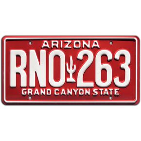 Fast and The Furious | RNO 263 | Metal Stamped License Plate