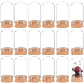 BENECREAT 2 Set Glass Display Dome with Cork Base, 3.14x4.6 inch Tabletop Centerpiece Cloche Bell Jar for Flower Plants, Specimens, Crafts Decorations, Inner Diameter: 76mm