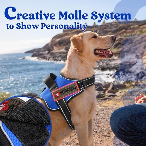 rabbitgoo Dog Harness Small Sized, Adjustable Service Dog Vest with Soft Handle & Molle, Reflective No Pull Pet Harness with Breathable Mesh, Easy Walk Pet Vest, Red, S in Saudi Arabia
