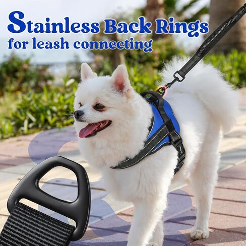 rabbitgoo Dog Harness Small Sized, Adjustable Service Dog Vest with Soft Handle & Molle, Reflective No Pull Pet Harness with Breathable Mesh, Easy Walk Pet Vest, Red, S in Saudi Arabia