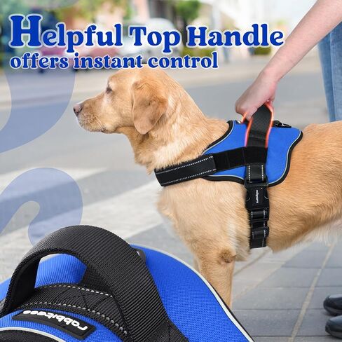 rabbitgoo Dog Harness Small Sized, Adjustable Service Dog Vest with Soft Handle & Molle, Reflective No Pull Pet Harness with Breathable Mesh, Easy Walk Pet Vest, Red, S in Saudi Arabia