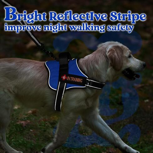 rabbitgoo Dog Harness Small Sized, Adjustable Service Dog Vest with Soft Handle & Molle, Reflective No Pull Pet Harness with Breathable Mesh, Easy Walk Pet Vest, Red, S in Saudi Arabia