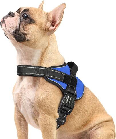 rabbitgoo Dog Harness Small Sized, Adjustable Service Dog Vest with Soft Handle & Molle, Reflective No Pull Pet Harness with Breathable Mesh, Easy Walk Pet Vest, Red, S in Saudi Arabia