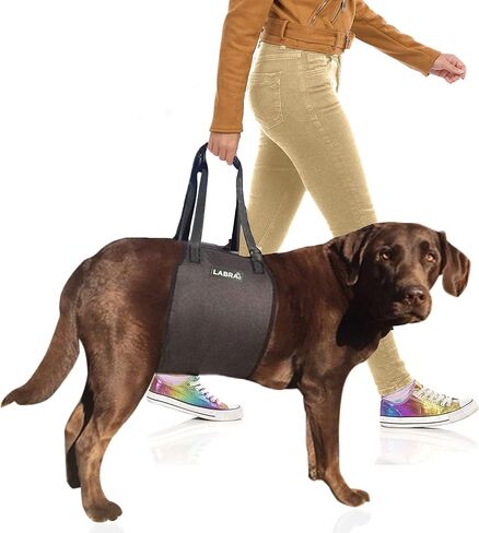 رافعة حبال للكلاب K9 معتمدة من الأطباء البيطريين من لابرا مع أشرطة قابلة للتعديل - حزام دعم لفقدان الاستقرار الناجم عن إصابات المفاصل والتهاب المفاصل، وإعادة تأهيل الرباط الصليبي الأمامي - 3XL in Kuwait