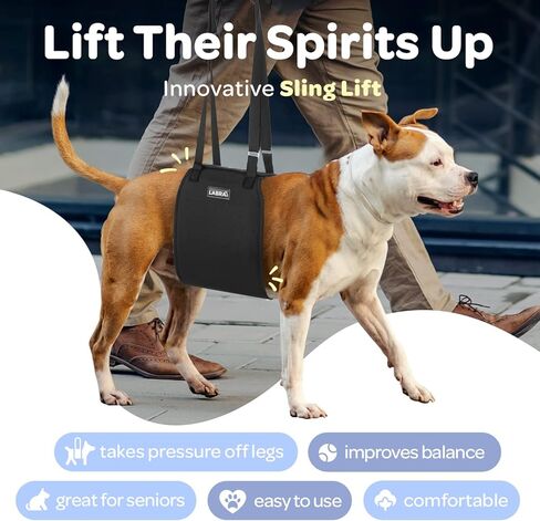 رافعة حبال للكلاب K9 معتمدة من الأطباء البيطريين من لابرا مع أشرطة قابلة للتعديل - حزام دعم لفقدان الاستقرار الناجم عن إصابات المفاصل والتهاب المفاصل، وإعادة تأهيل الرباط الصليبي الأمامي - 3XL in Kuwait