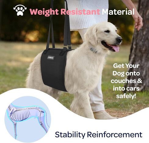 رافعة حبال للكلاب K9 معتمدة من الأطباء البيطريين من لابرا مع أشرطة قابلة للتعديل - حزام دعم لفقدان الاستقرار الناجم عن إصابات المفاصل والتهاب المفاصل، وإعادة تأهيل الرباط الصليبي الأمامي - 3XL in Kuwait