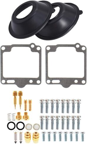 WFLNHB 2-Pack مجموعات إصلاح المكربن ​​المكبس الحجاب الحاجز استبدال جزء لياماها XV750 Virago 750 in Saudi Arabia