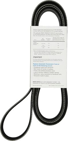 Dayco 5080990DR Serpentine Belt in Saudi Arabia
