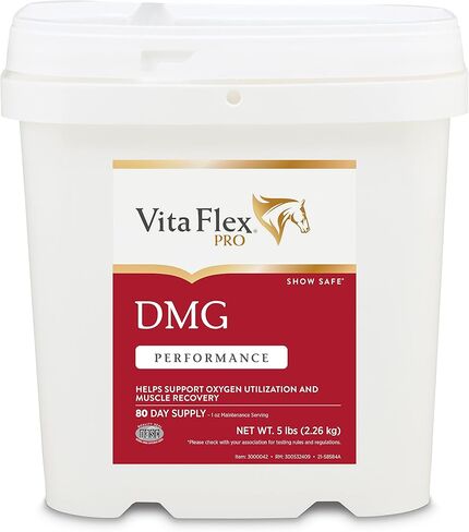 Pro DMG 1500 Horse DMG Supplement 5 Pounds, 80-Day Supply in Kuwait