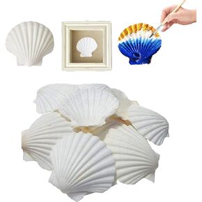 35Pcs Scallop Shells for Crafts 2-3 Inch, White Sea Shells Bulk for Decorating Crafting Beach Home Decor DIY
