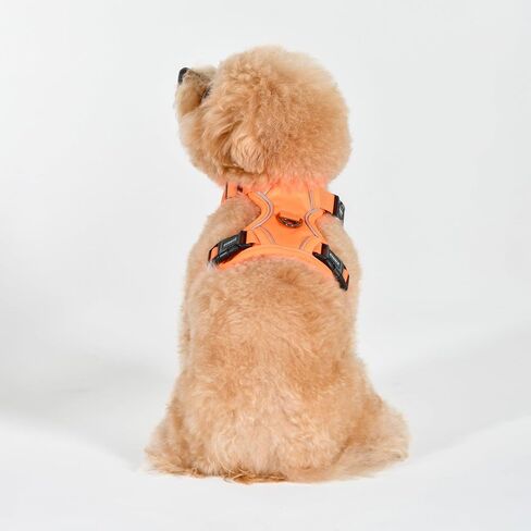 Puppia Neon Dog Harness H قوي قابل للتعديل للرقبة والصدر عاكس للأمام والخلف على شكل حرف D للكلاب الصغيرة والمتوسطة، برتقالي، متوسط in Saudi Arabia
