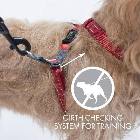 سرج EzyDog Crosscheck - سرج تدريب الكلاب - سرج بدون سحب للكلاب - مقاوم للهروب، عاكس، مريح، سهل الملاءمة (L، أزرق) in Kuwait
