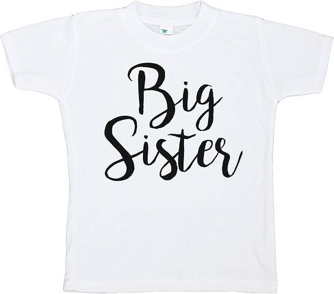 7 ate 9 Apparel Boy's Dinosaur Little Brother Grey Baseball Shirt T-Shirt in Saudi Arabia