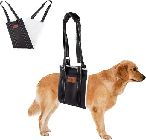 Byhoo حبال الكلب مع الجوارب المضادة للانزلاق الكلب، تسخير رفع الكلب قابل للتعديل، حبال الكلب المحمولة للكلاب الكبيرة دعم الساق الخلفية، يساعد الكلب المسن، المصاب، المعاق وبعد الجراحة in Kuwait