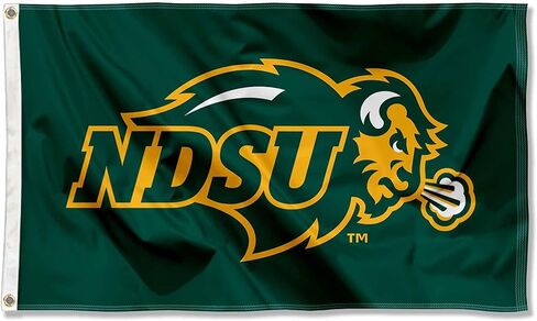 College Flags & Banners Co. North Dakota State Bison NDSU University Large College Flag in Saudi Arabia