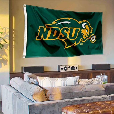 College Flags & Banners Co. North Dakota State Bison NDSU University Large College Flag in Saudi Arabia
