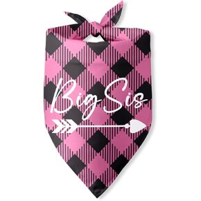تمت ترقيته إلى Big Brother Dog Bandanas Baby إعلان الجنس يكشف الجرو باندانا مثلث المرايل وشاح الملحقات الصغيرة والمتوسطة