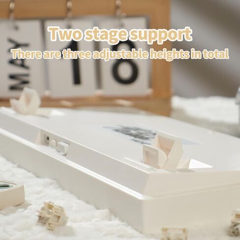 GMK81 مجموعة لوحة مفاتيح ميكانيكية بيضاء قابلة للتبديل الساخن بلوتوث 5.0/2.4G/Type-C لوحة مفاتيح RGB مخصصة مع لوحة مفاتيح لتخميد الصوت عبر لوحة مفاتيح قابلة للبرمجة لنظام التشغيل Windows macos iOS in Kuwait