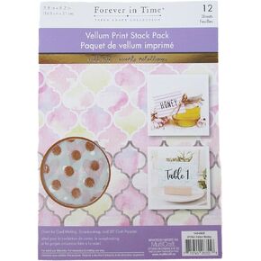 Forever in Time Paper Craft Scrapbook Vellum Print Stack Pack - Pattern Medley -12 Sheets