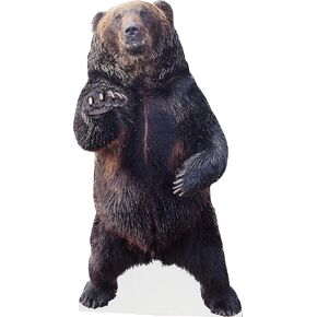 Animal Life Size Cardboard Cutout Stand Up | Standee Picture Poster Photo Print (Bear)