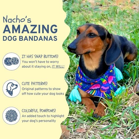 Nacho's Amazing Dog Bandanas - Multiple Patterns - Snap Buttons & Colorful Pompoms - Cute and Stylish Design - Soft and Durable Polyester - Handmade in Mexico (Bloomy Spring, Medium) in Saudi Arabia