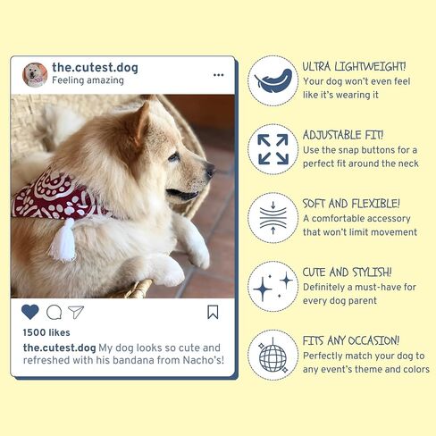 Nacho's Amazing Dog Bandanas - Multiple Patterns - Snap Buttons & Colorful Pompoms - Cute and Stylish Design - Soft and Durable Polyester - Handmade in Mexico (Bloomy Spring, Medium) in Saudi Arabia
