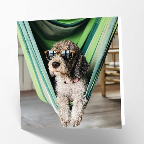 بطاقة تهنئة عيد ميلاد فارغة مصورة من Maturi Happy Dog، مقاس 15.24 سم × 15.24 سم in Kuwait